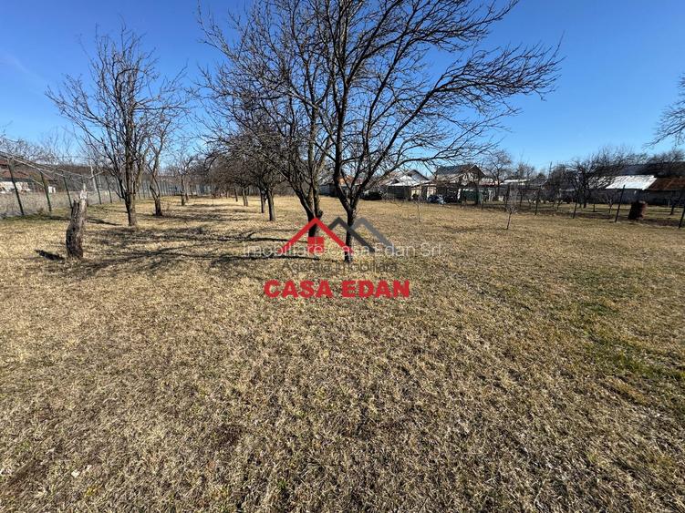 Teren 1306mp in Cornu--60.076e - 6