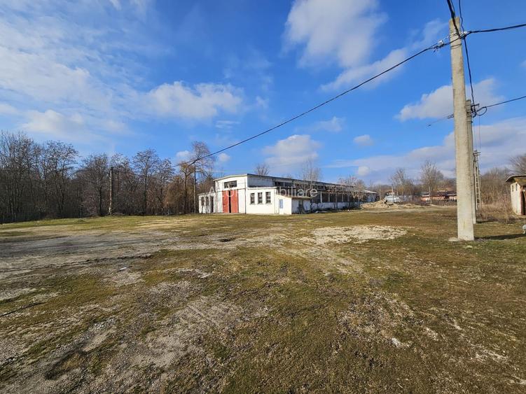 Vanzare amplasament industrial-servicii Tatarasti, Teleorman - 18