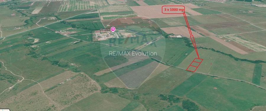 Teren 3000mp de vânzare în Râșnov / Pănicel - 15