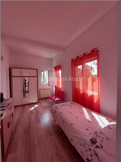 PRET REDUS!!! Casa cu 4 dormitoare in Sofronea - 12
