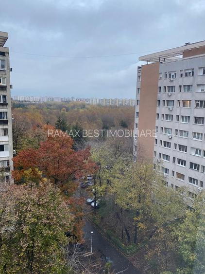 Dristor langa Parc IOR -Vedere spre Parc IOR - 4