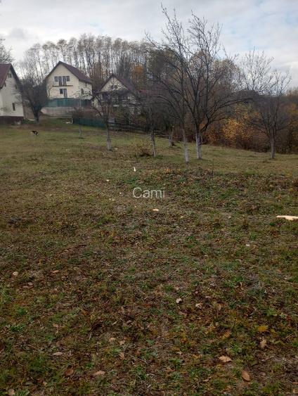 Vând teren intravilan 4062 mp - 8