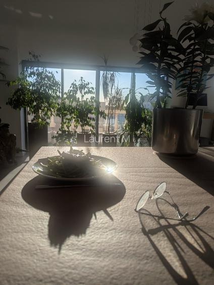 Penthouse de Lux cu 5 Camere | Expunere Sud-Vest și Panoramă spre Herăstrău  - 5