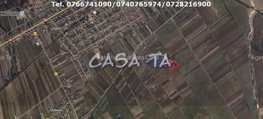 Teren Extravilan-Agricol, Balesti - 2