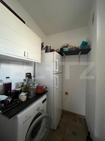 Casa P+1, Brazda lui Novac, 380 mp de teren - 14