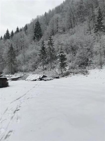 Teren pentru cabana Racatau - 6