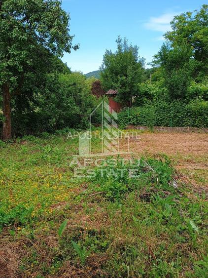 Casa batraneasca de vanzare, 4 camere, in Hunedoara, sat Micanesti - 44