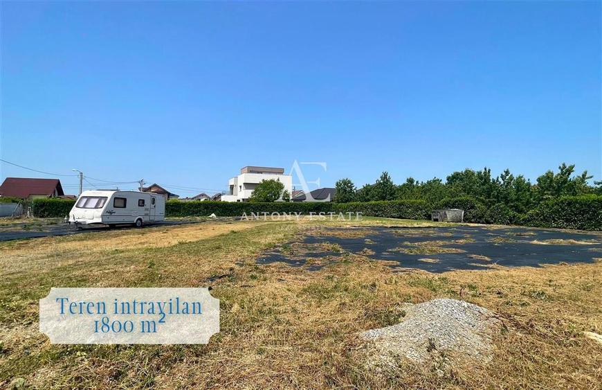 Antony Estate | Teren Intravilan de inchiriat - Grigorescu, Oradea