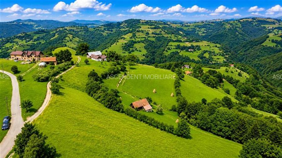 FILM! Cu view panoramic la 360 grade, teren 10.335 mp, Poiana Marului - 12