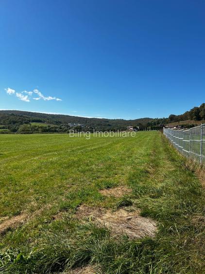 Teren de vanzare, 4451 mp, front 27.50, zona Gilau - 2