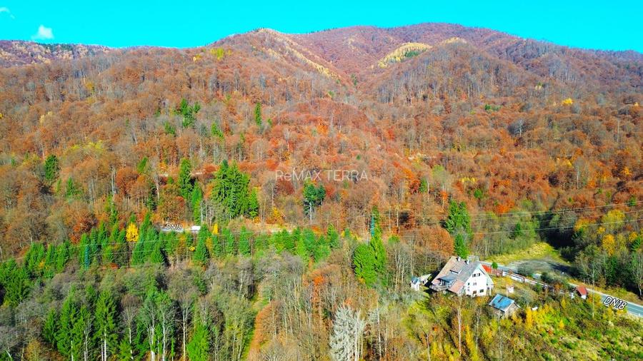 DE VANZARE Restaurant-Cabana-DN Baia Mare–Sighet cu 29AR - 2