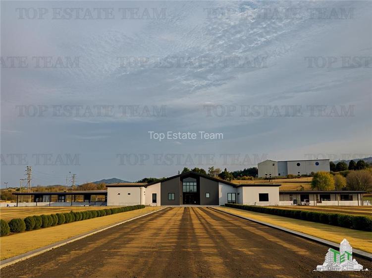 Ultimul lot / Teren industrial de vanzare pentru hale langa A0 / Bragadiru - 10