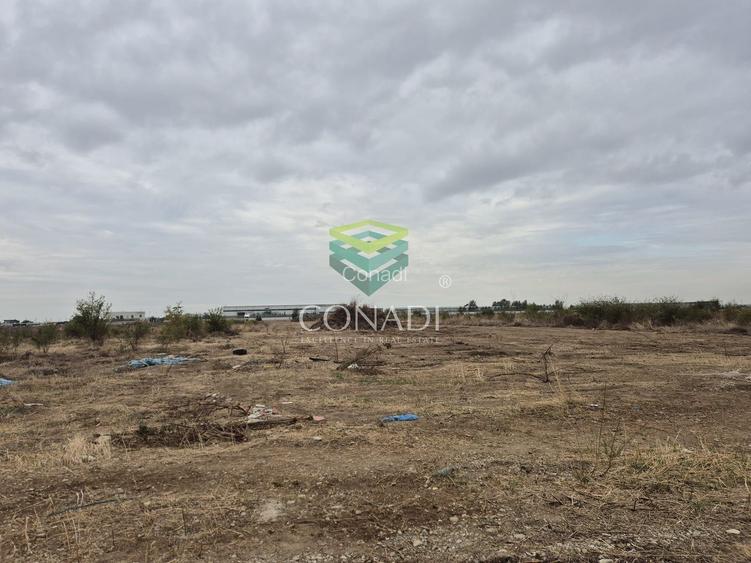 Teren Chitila - 8.700 mp - pretabil pentru hale - 7