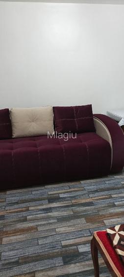 Proprietar inchiriez Grasoniera zona Ciuperca (1 Mai), renovata - prima inchirie - 8