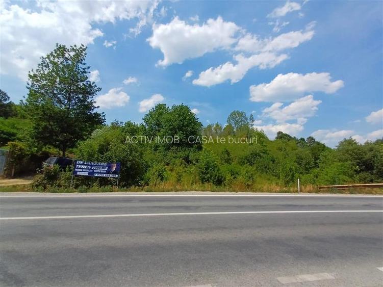 Resita, Terenuri Intravilane 2000 Mp., 28 Euro Mp., Calea Caransebesului, Mement - 3