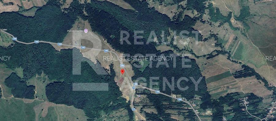 Teren intravilan 4,2 ha de vânzare| ideal investiție| POT 40%| Teișani - 2