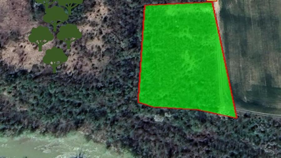 Teren Intravilan - 6.700 mp - Ciolpani / Luparia