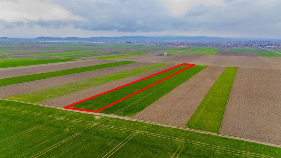 Teren pretabil sera/culturi plante medicinale/flori/agricultura , Prejmer