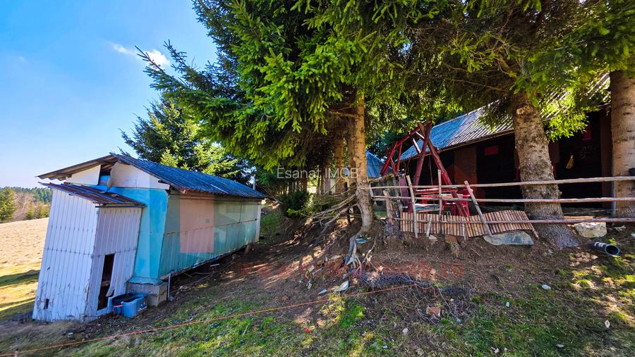 Proprietar | Teren Panoramic+PUZ + Cabana | Drumul Paltinisului |746mp - 7