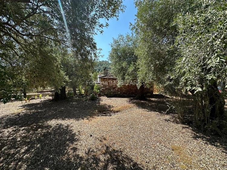 Teren intravilan pe insula Thassos, aproape de plaja salbatica - 4