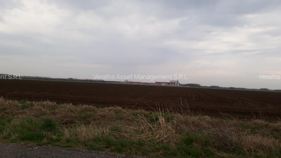 de vanzare Ferma Vaci - 16