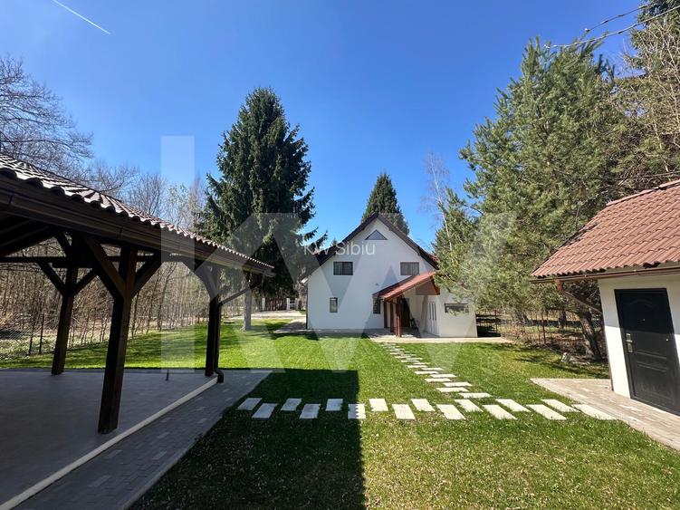 Vila de poveste din Valea Avrigului de vanzare - 4