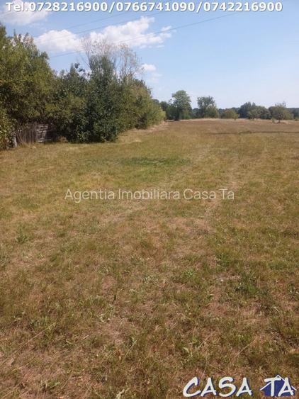  Teren Intravilan, situat in Sat Tismana (zona Gornovita) - 8