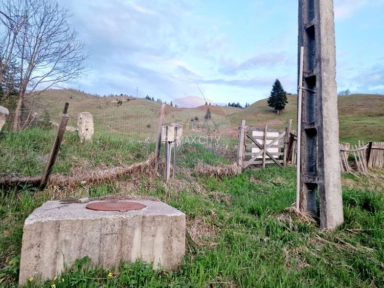 Teren cu vedere la Muntele Ceahlau - 23