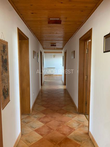 Domeniu Privat - Rosu/ Chiajna - Ilfov - 14