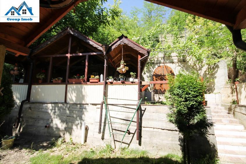 Vila pentru pretentiosi - Serbanesti - 19