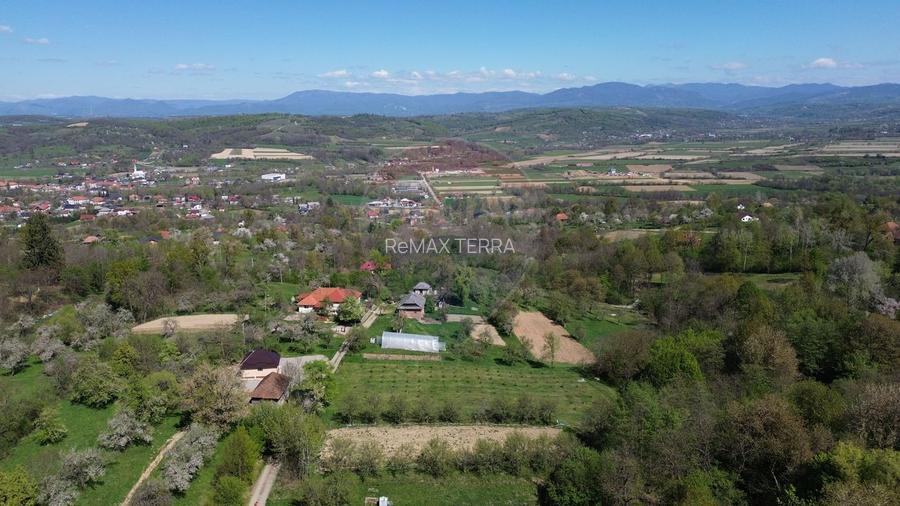 Teren de vanzare langa padure Copalnic Manastur - 7