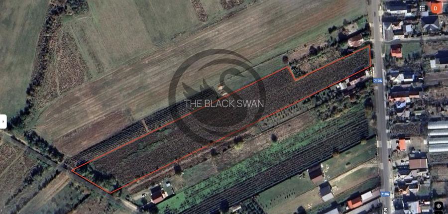 Teren intravilan de vanzare | 12.650 mp | Ghirdoveni, | Comision 0% - 2