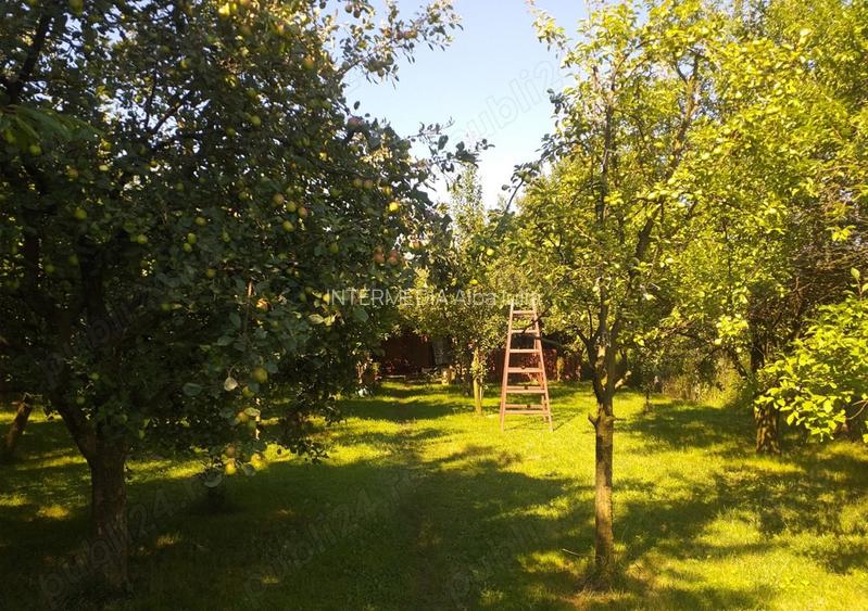 Teren Intravilan Vanzare 1400 mp. Alba Micesti deschidere 16m. Toate Utilitatile - 2