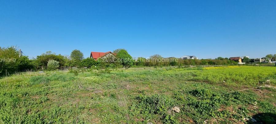 Teren  stradal dezvoltare imobiliara - 3