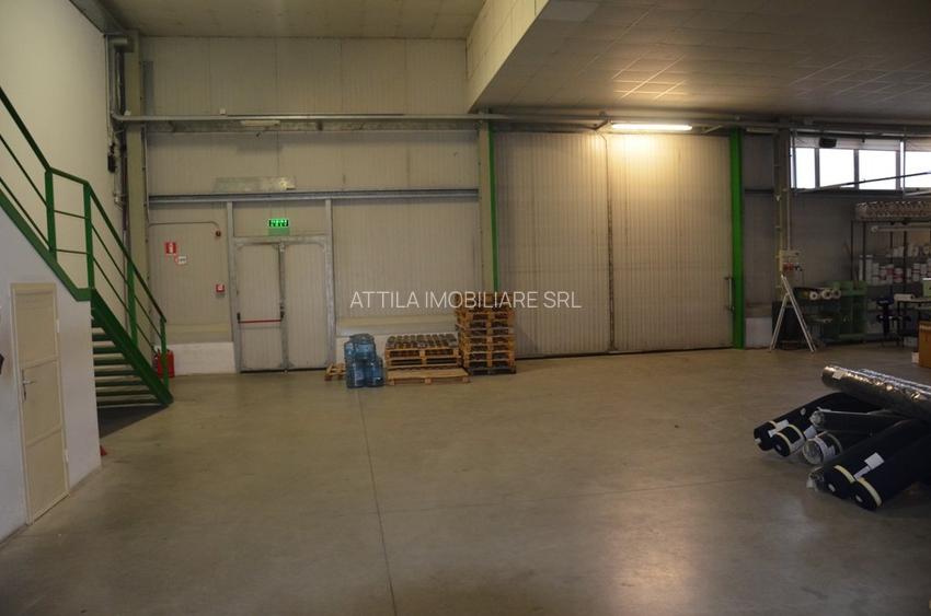 Hala Calea Lugojului 1400 mp 6000 euro - 3