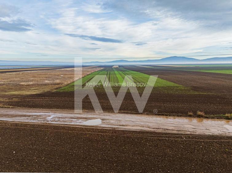 Teren exceptional pentru investitii industriale langa Brasov - 12