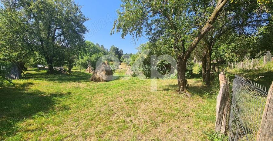 Teren în comuna Corbeni - 10