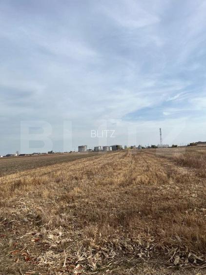 Teren 5000 mp intravilan in Ghercesti  - 2