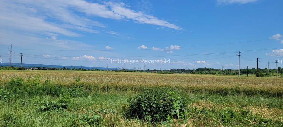 TEREN AGRICOL BABENI LANGA ABATOR LA PROVINCIA - pretabil ferma cu panour solare - 12