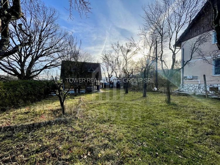 Teren intravilan 1.915 mp + cabană din lemn | Tocile – Sadu - 6