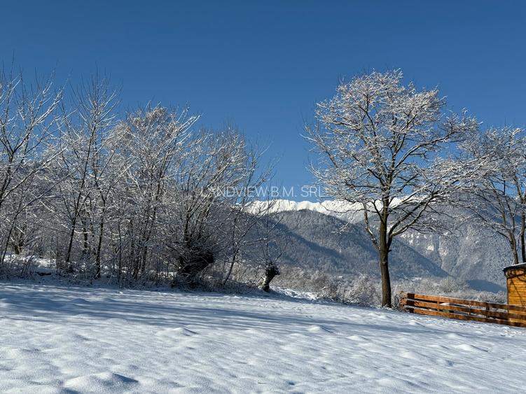 Teren intravilan intre 500 si 1000 mp   in zona Bran - 17