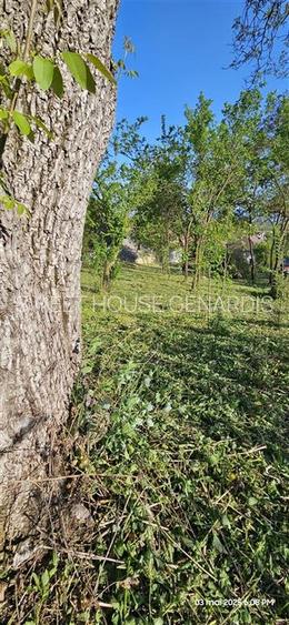 Teren intravilan cu utilitati  in Sona - 7