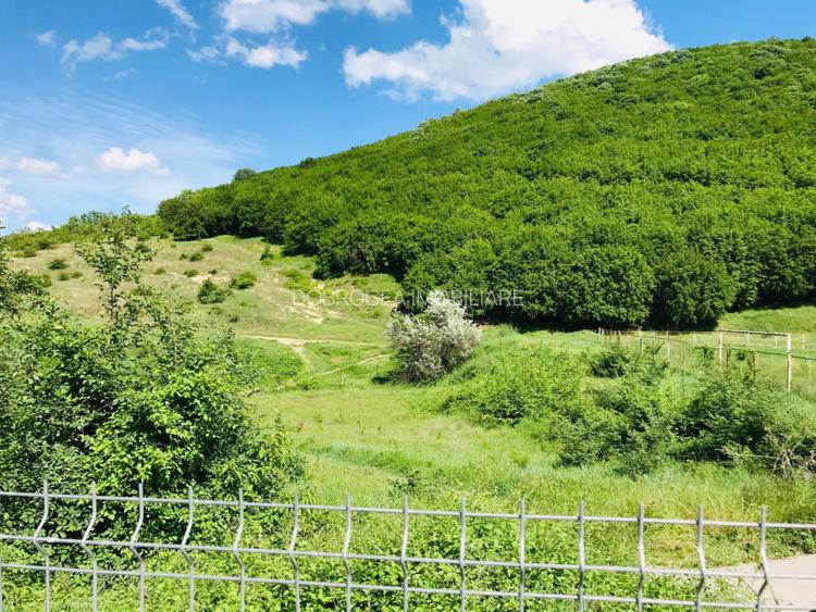  BABADAG -TEREN INTRAVILAN , 1000 MP - 3