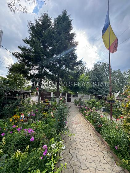 Vanzare vila lacul Baneasa - 26