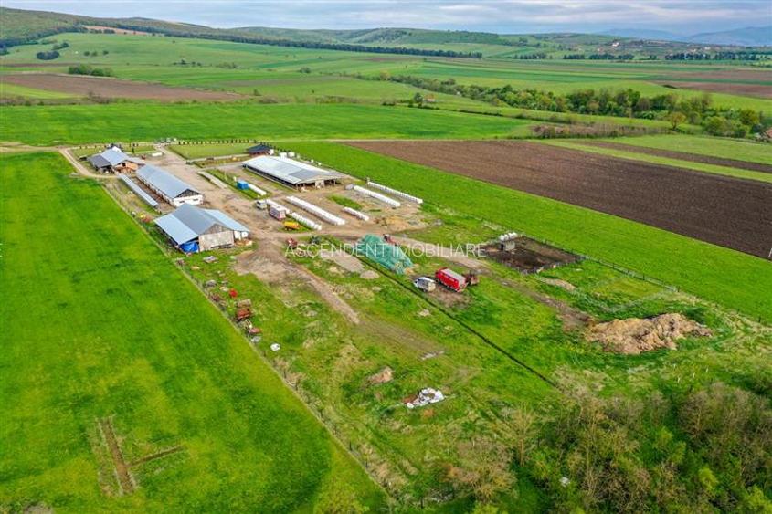 Ferma+Anexe specifice+ Constructie rezidentiala+222.000 mp domeniu - 7
