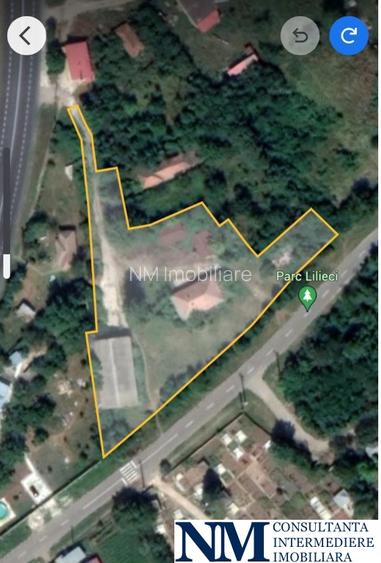 Ideal angrosiștilor din centrele comerciale,  Europa, Dragonul Rosu, Doraly - 4