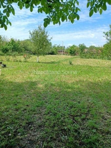 Vand 3413 mp teren intravilan - 6