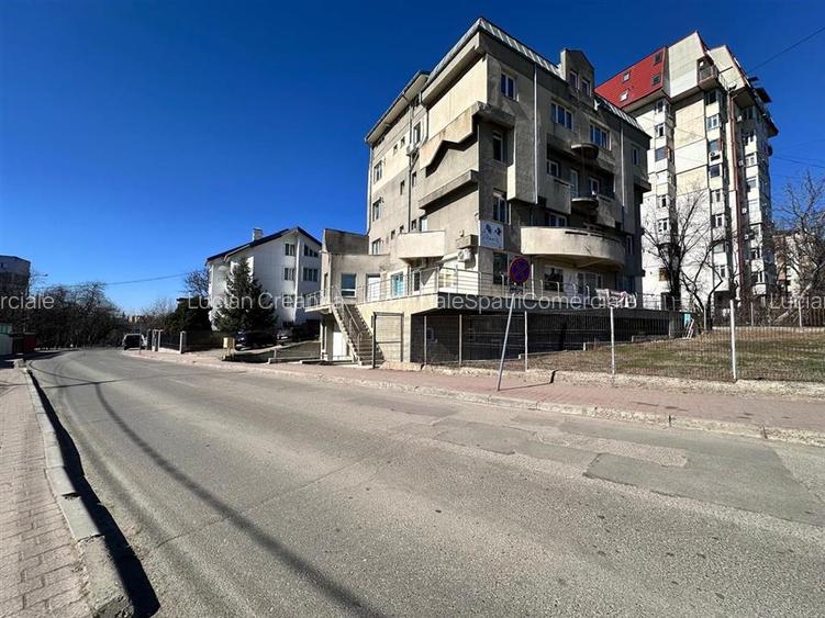 Spatiu birouri, salon, 163mp, aproape de Iulius Mall - 14