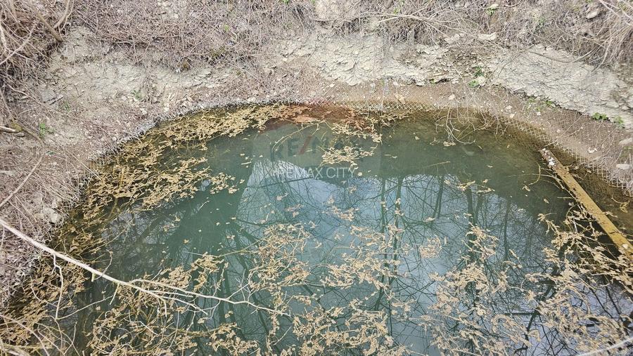 Teren 1,520mp Hangu / Strada Principala - 6