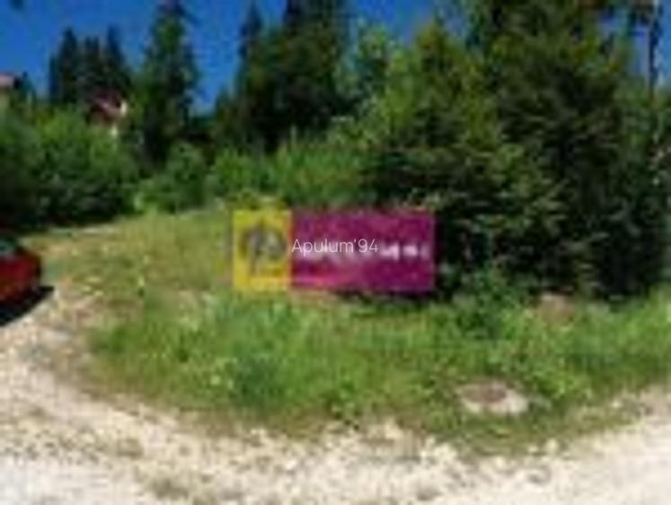 Teren Intravilan de Vanzare Sinaia - 4